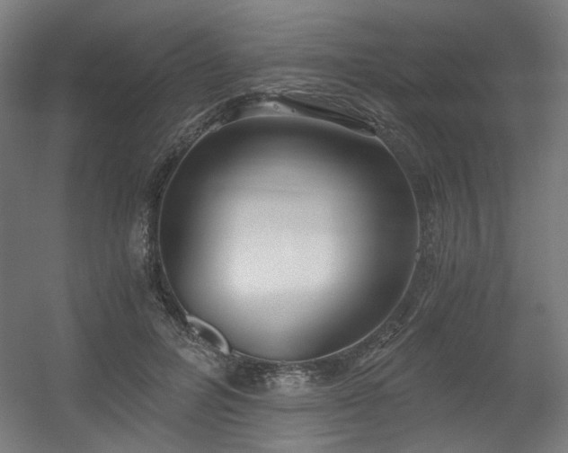 X0000056340600200508291317