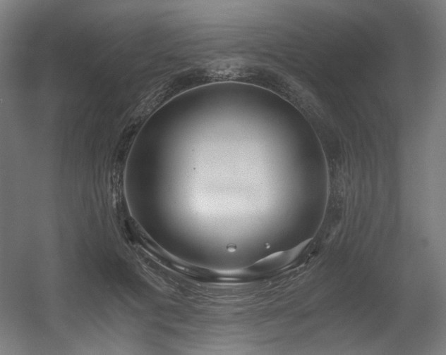 X0000056340601200508291317