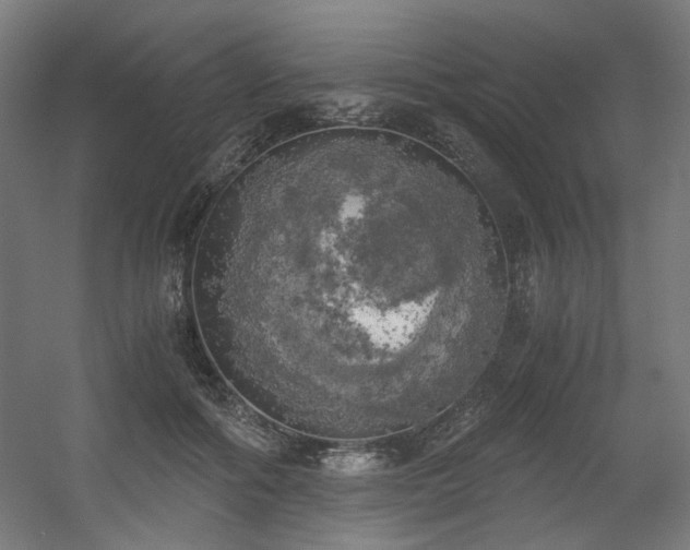 X0000056340602200508291317