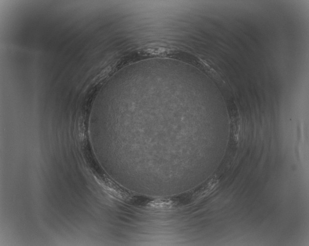 X0000056340606200508291317