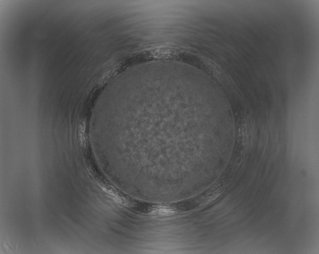 X0000056340610200508291317