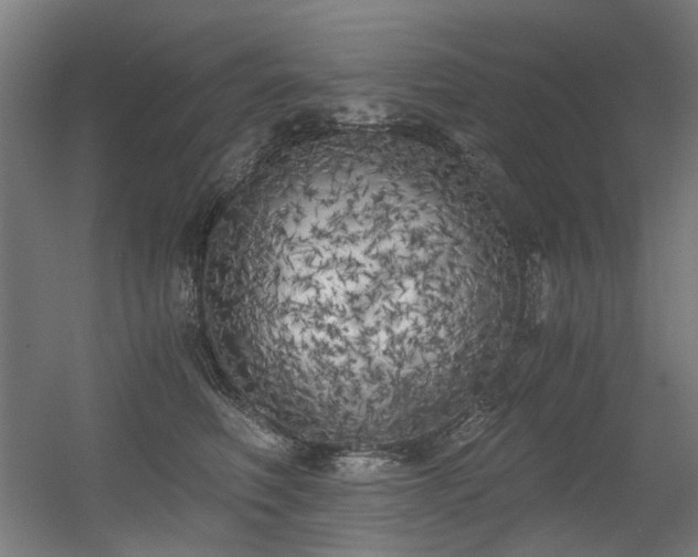 X0000056340614200508291317