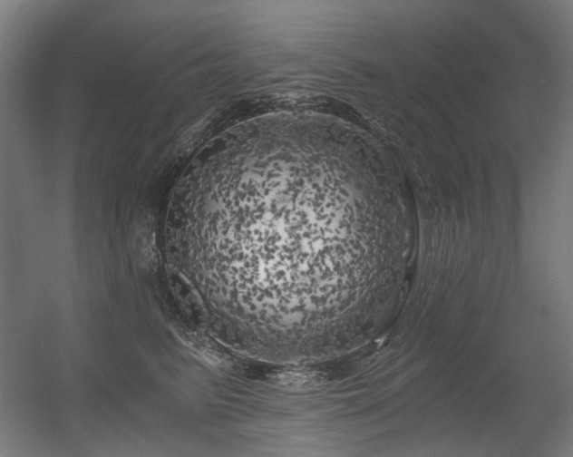 X0000056340615200508291317