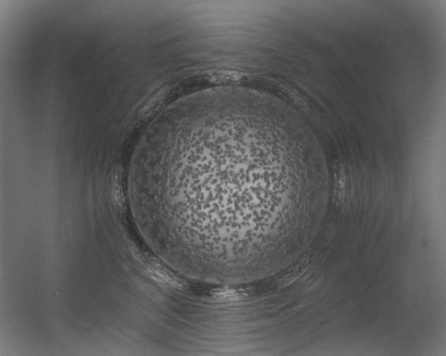 X0000056340616200508291317