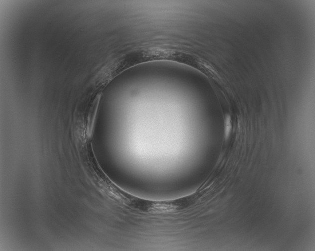 X0000056340617200508291317