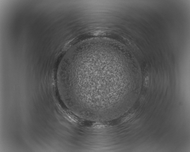 X0000056340620200508291317