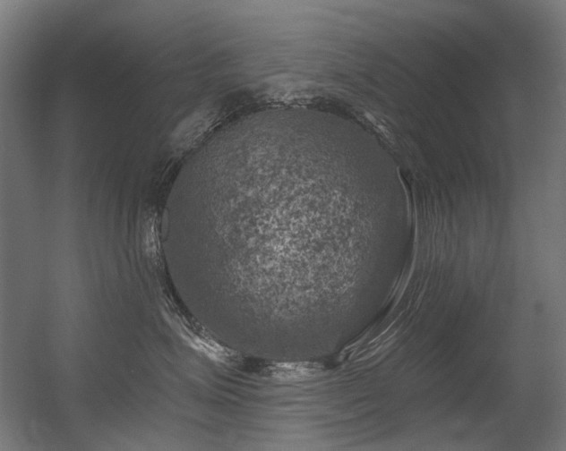 X0000056340623200508291317