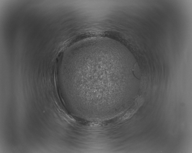 X0000056340624200508291317