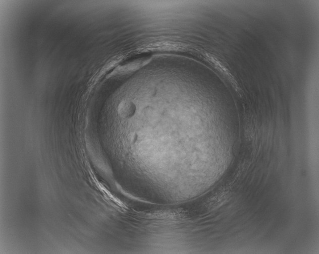 X0000056340625200508291316