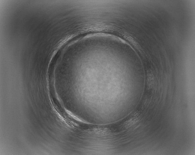 X0000056340626200508291316