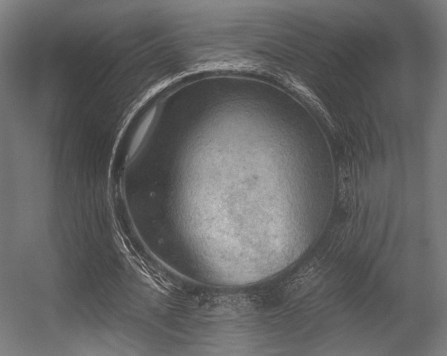 X0000056340628200508291316