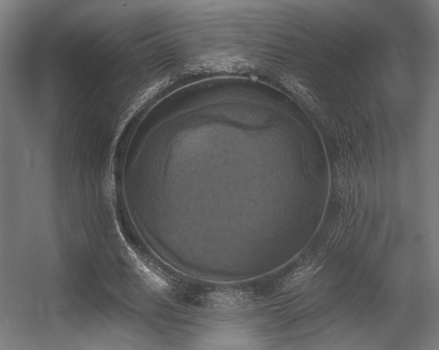 X0000056340630200508291316