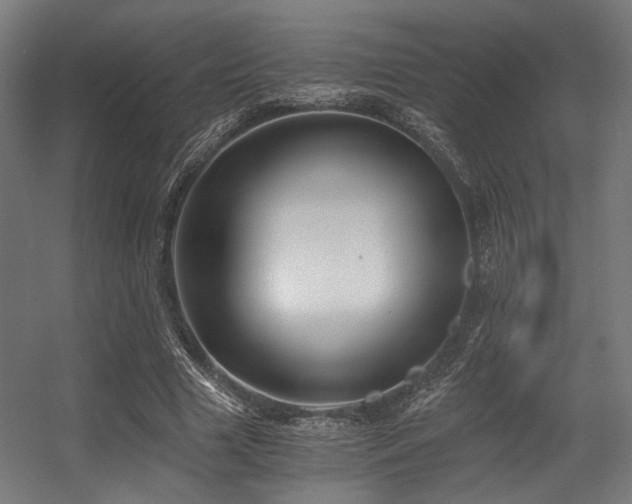 X0000056340633200508291316