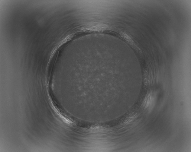 X0000056340634200508291316