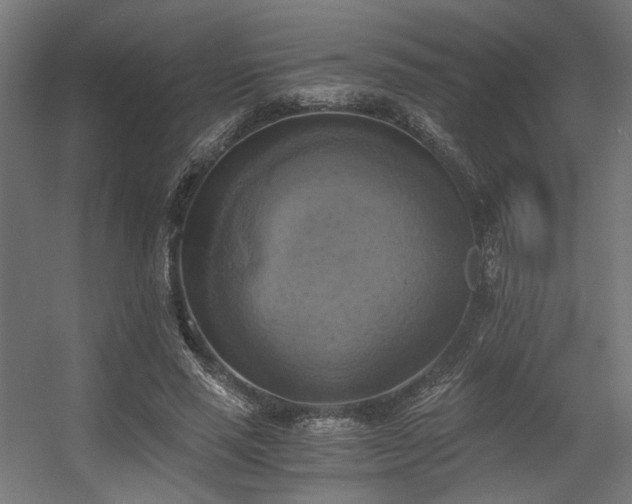 X0000056340637200508291316