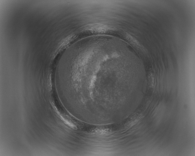 X0000056340638200508291316