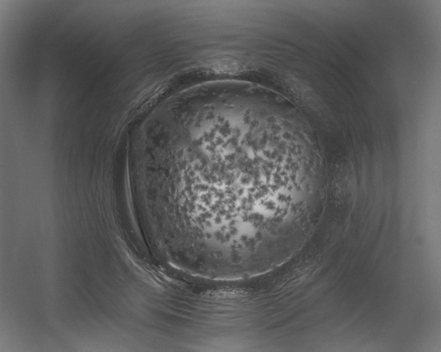 X0000056340639200508291316