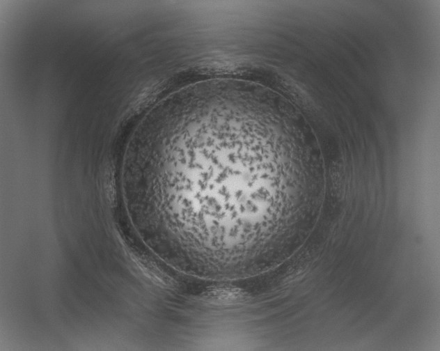 X0000056340642200508291316