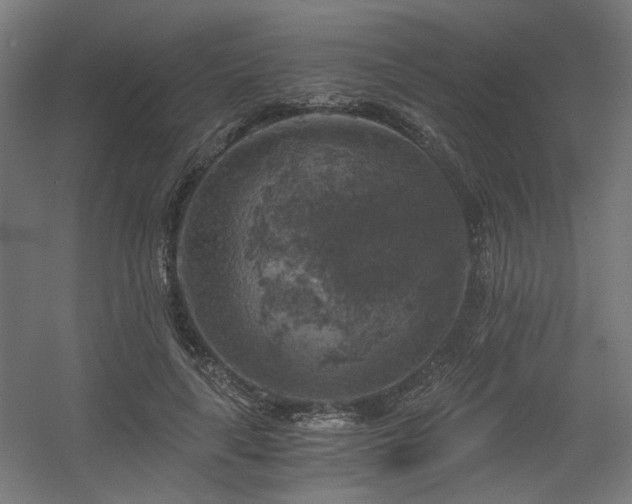 X0000056340643200508291317