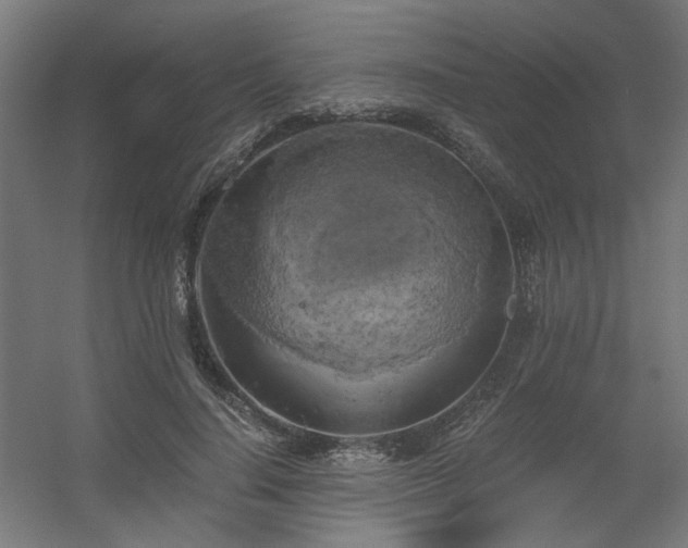 X0000056340644200508291317