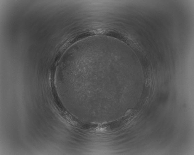 X0000056340647200508291317