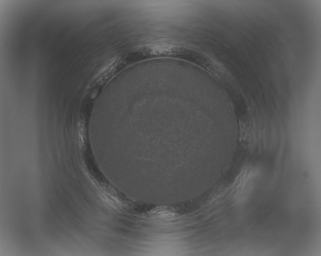 X0000056340648200508291317