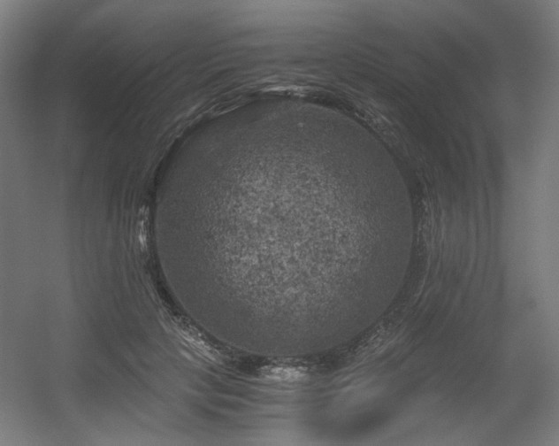 X0000056340649200508291317