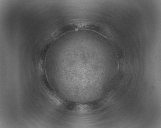 X0000056340650200508291317