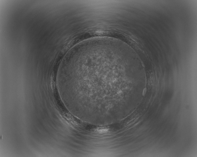 X0000056340651200508291317