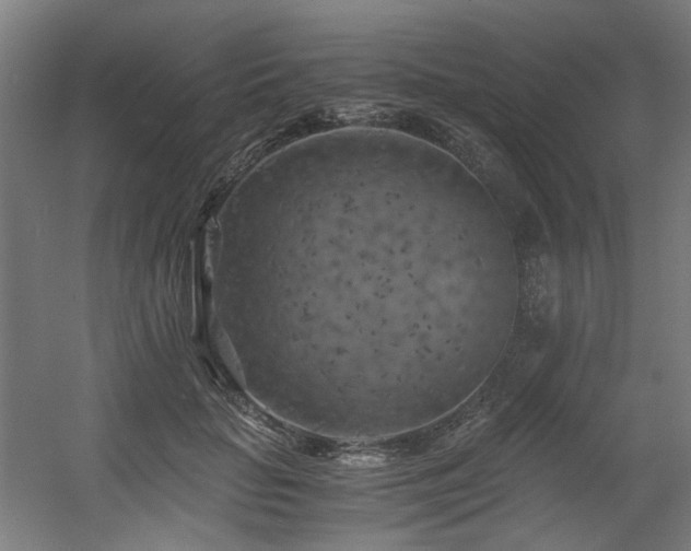 X0000056340653200508291317