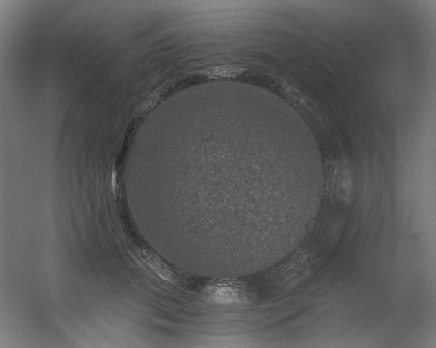 X0000056340655200508291317