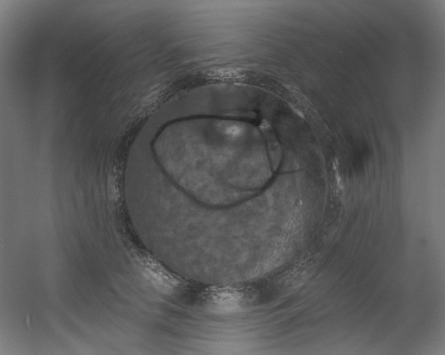 X0000056340658200508291317