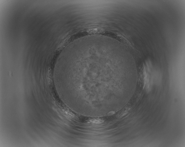 X0000056340659200508291317