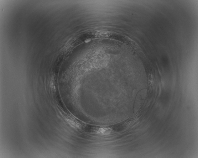 X0000056340663200508291317