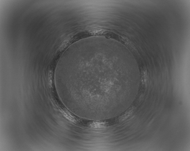 X0000056340664200508291317