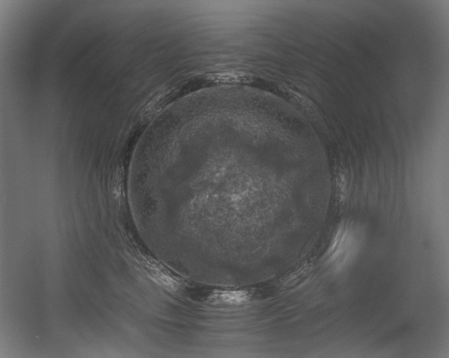 X0000056340665200508291317