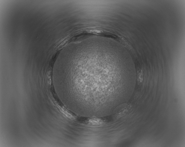 X0000056340666200508291317