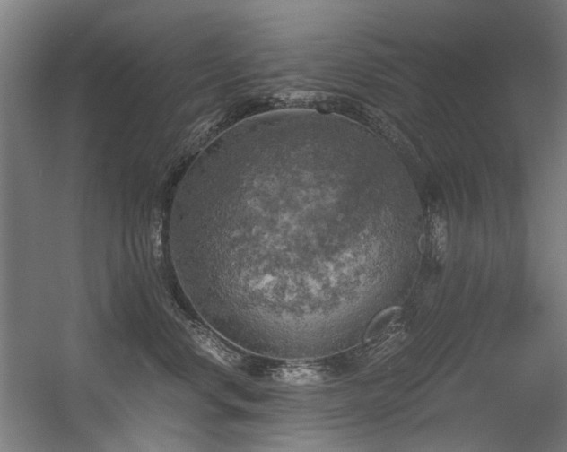 X0000056340668200508291317