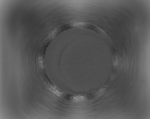 X0000056340669200508291317