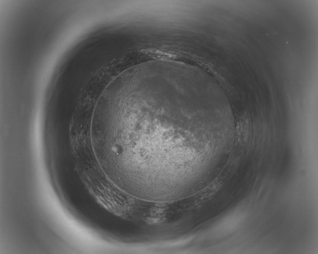 X0000056340671200508291317