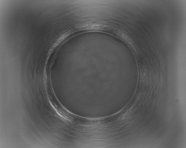 X0000056340674200508291316