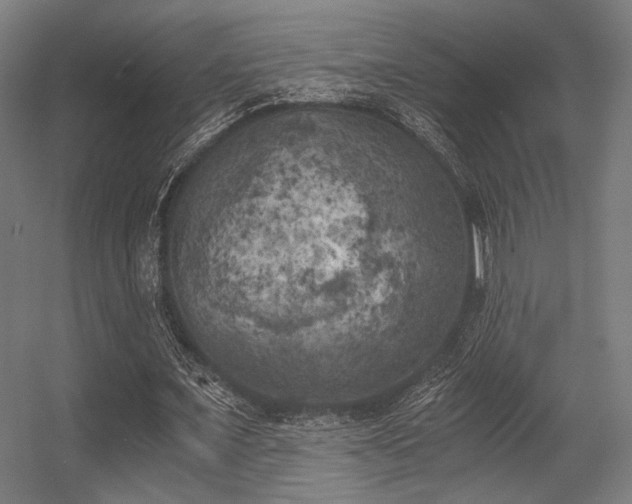 X0000056340675200508291316