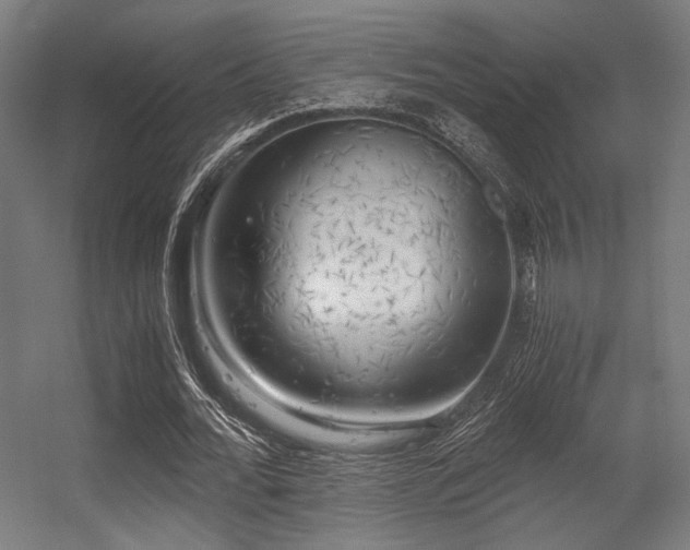 X0000056340676200508291316