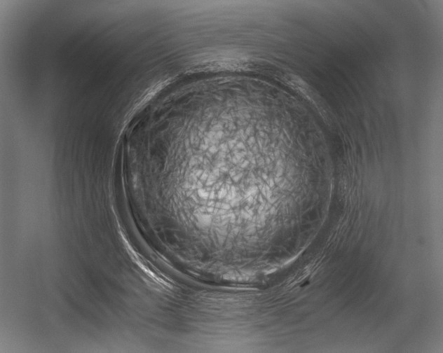 X0000056340677200508291316