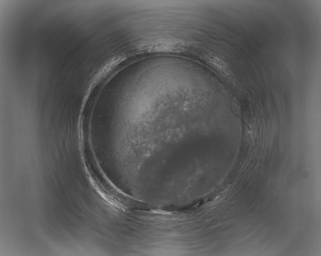 X0000056340678200508291316