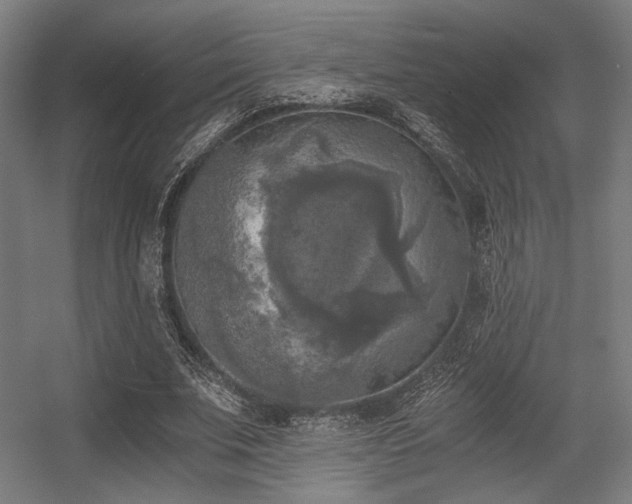 X0000056340679200508291316