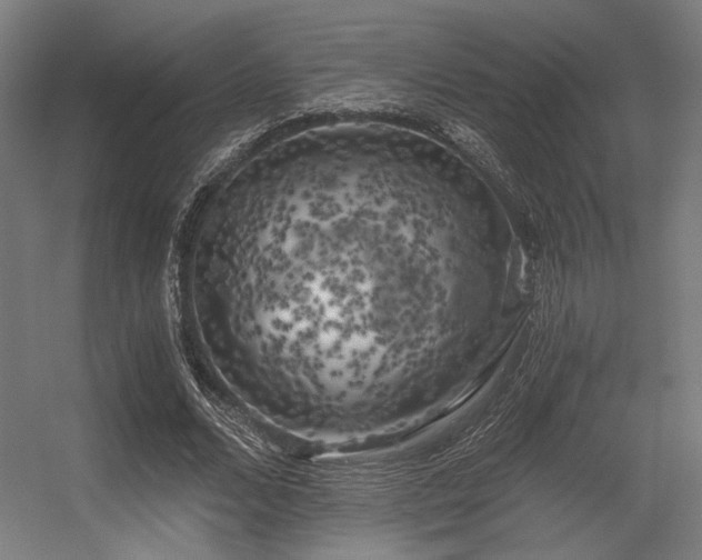 X0000056340680200508291316