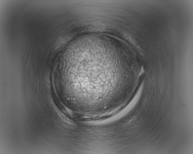 X0000056340681200508291316