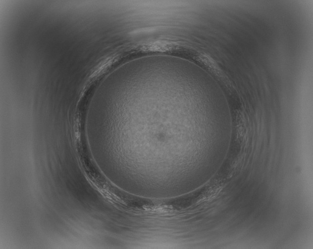 X0000056340683200508291316