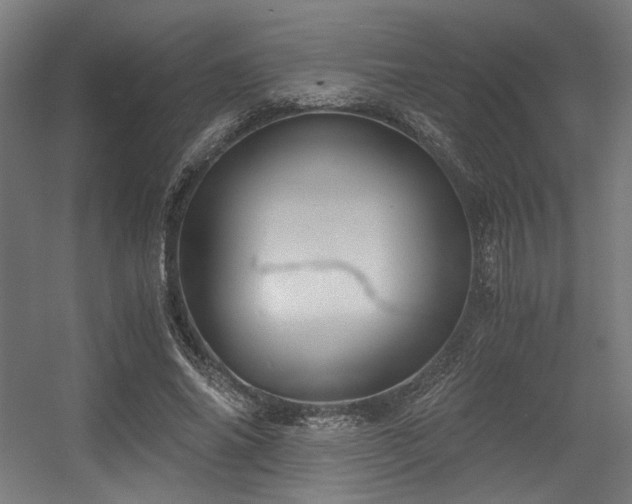 X0000056340686200508291316